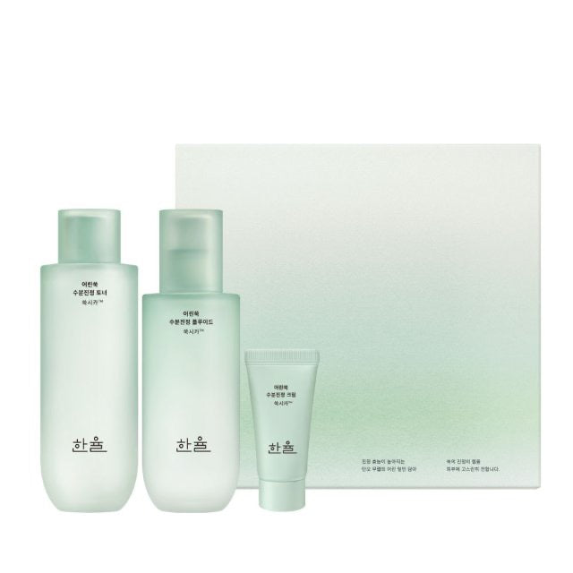 HANYUL Pure Artemisia Calming Duo Skincare Set (Toner 150mL+Fluid 125mL)